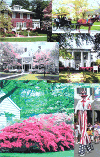 Charleston, Missouri, Annual Dogwood-Azalea Festival